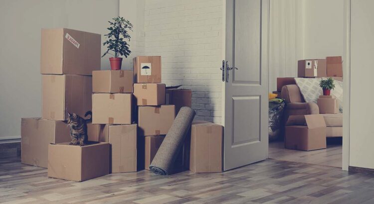 removalists Brooklyn