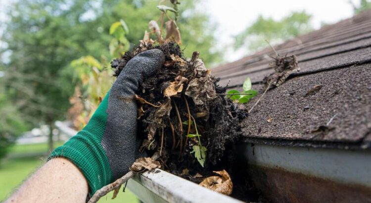 gutter cleaning Melbourne
