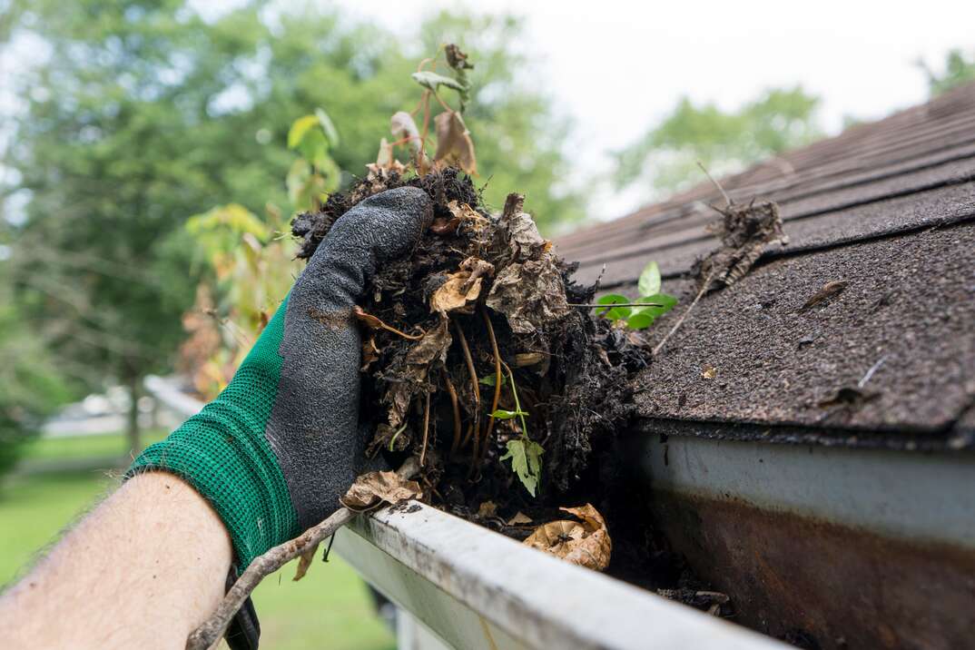 Keep Your Home Healthy and Safe with Professional Gutter Cleaning in Melbourne